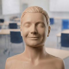 Manakin